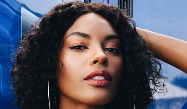 Sharam Diniz InstaFitBio