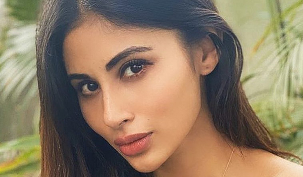 Imouniroy InstaFitBio